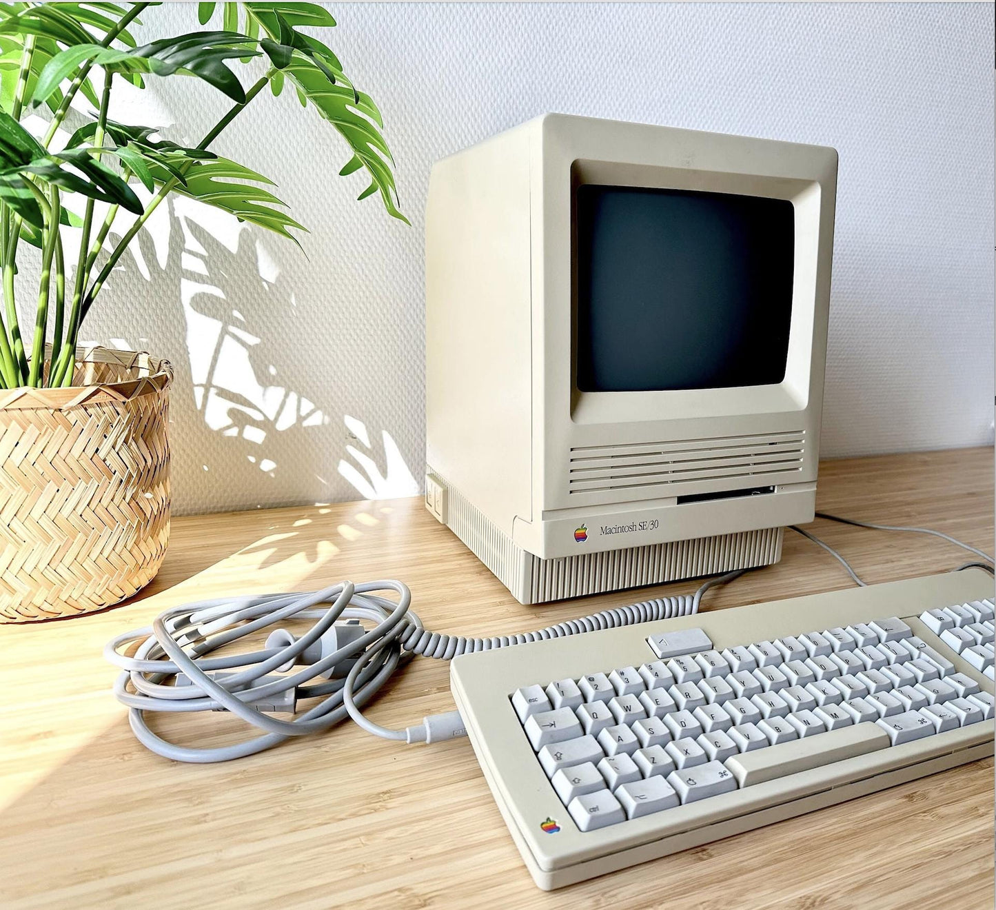 Vintage Macintosh SE Computer - 1987