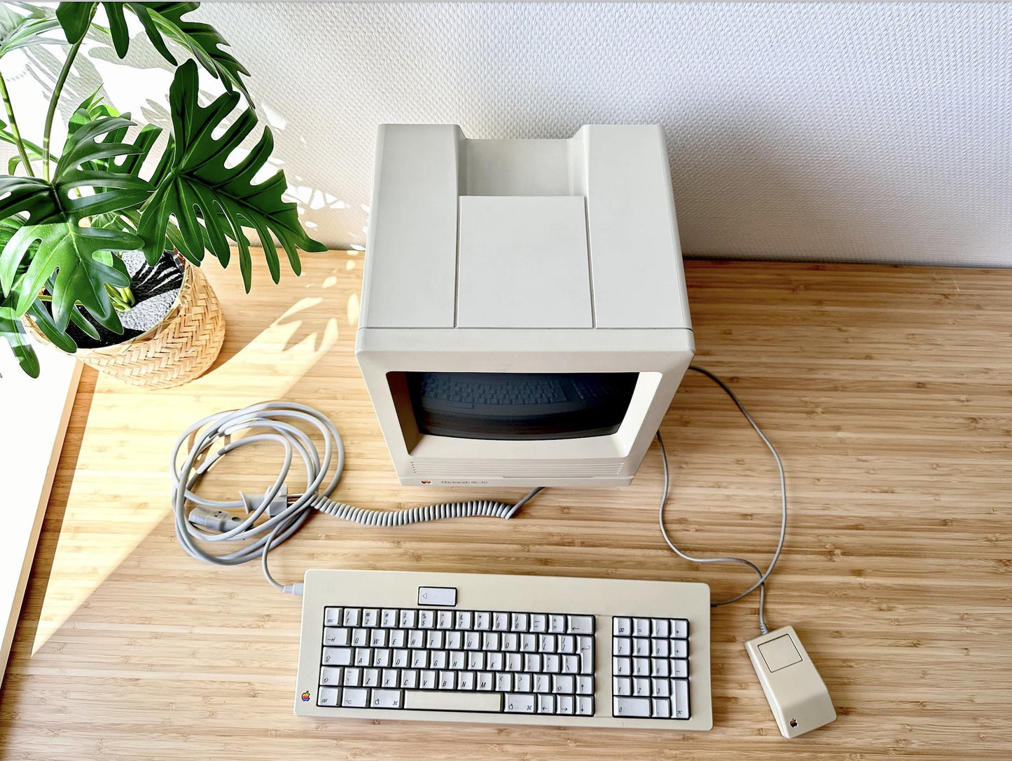 Vintage Macintosh SE Computer - 1987