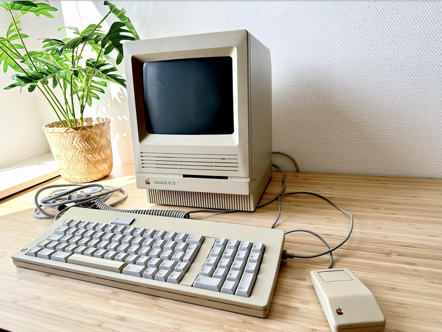 Vintage Macintosh SE Computer - 1987