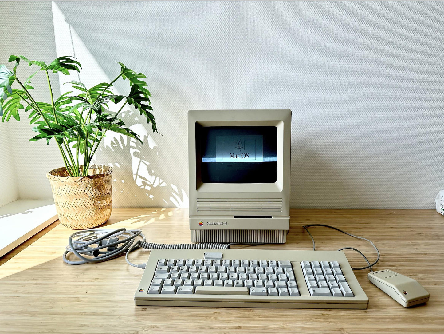 Vintage Macintosh SE Computer - 1987